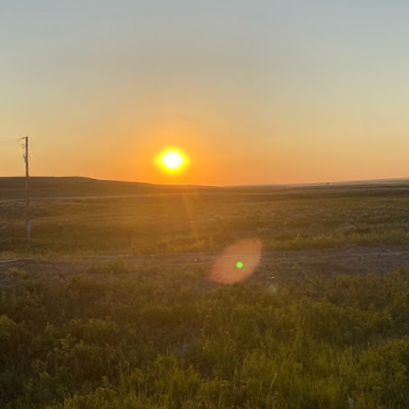 Meet your Posher, Micaela - Picture 1 of 1